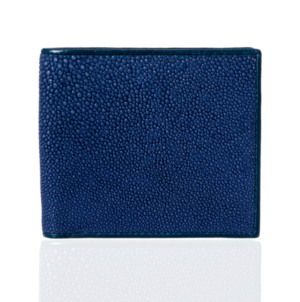 Blue and Brown Stingray Leather Wallet