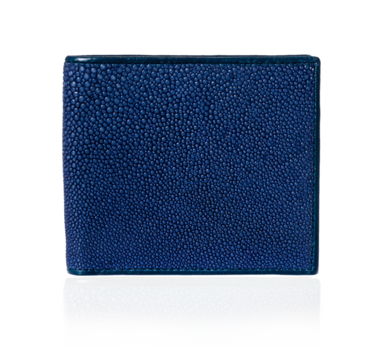 Blue and Brown Stingray Leather Wallet
