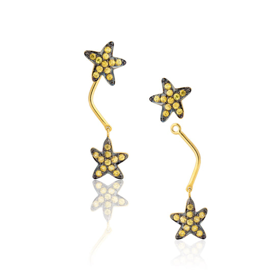 Load image into Gallery viewer, Starfish Earrings
